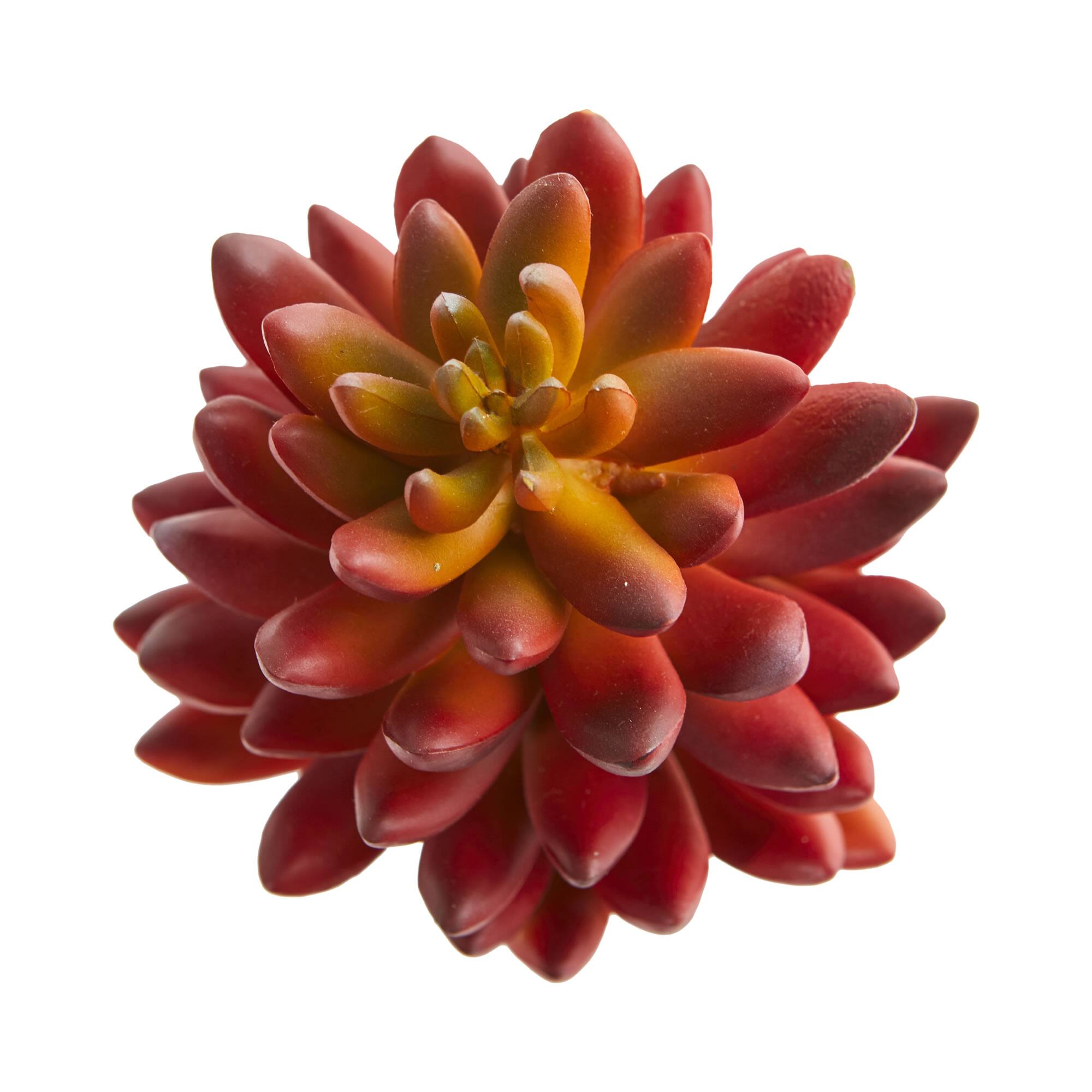 7.5'' Succulent Pick, 6ct.